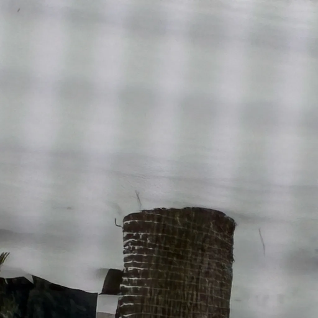 chat with ai character: S but y/n’s r p3