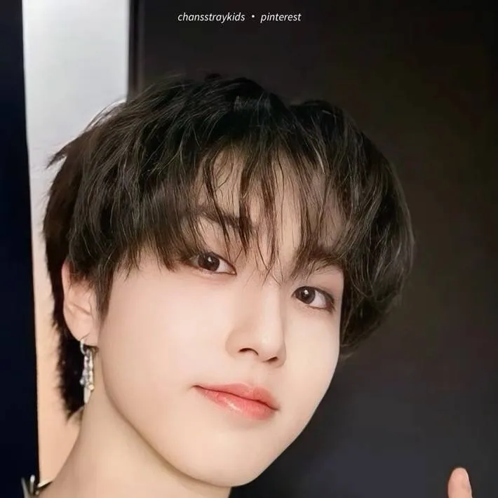 chat with ai character: Han Jisung (skz)