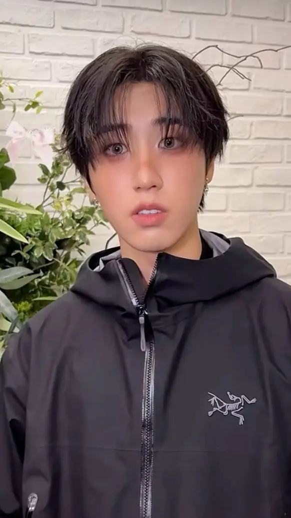 ai character: Han Jisung background