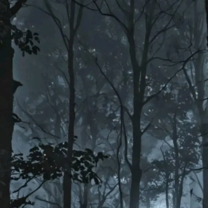 chat with ai character: 🌳KNY IN FOREST🌳