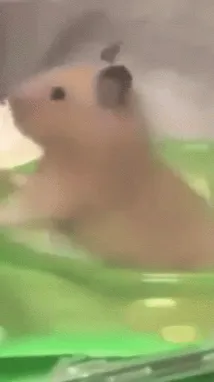 ai character: Family hates yo background