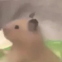 chat with ai character: Family hates yo