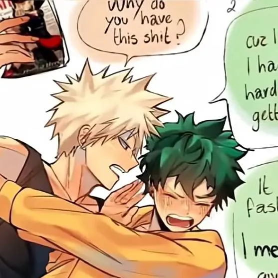 chat with ai character: 💥Bakugo and Deku🥦