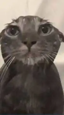 ai character: Elliot's bad day background