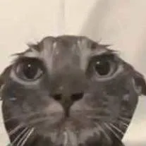 chat with ai character: Elliot's bad day