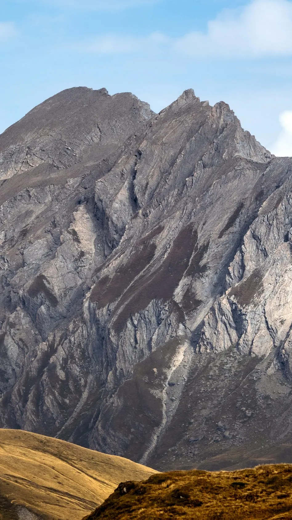 ai character: ??? background