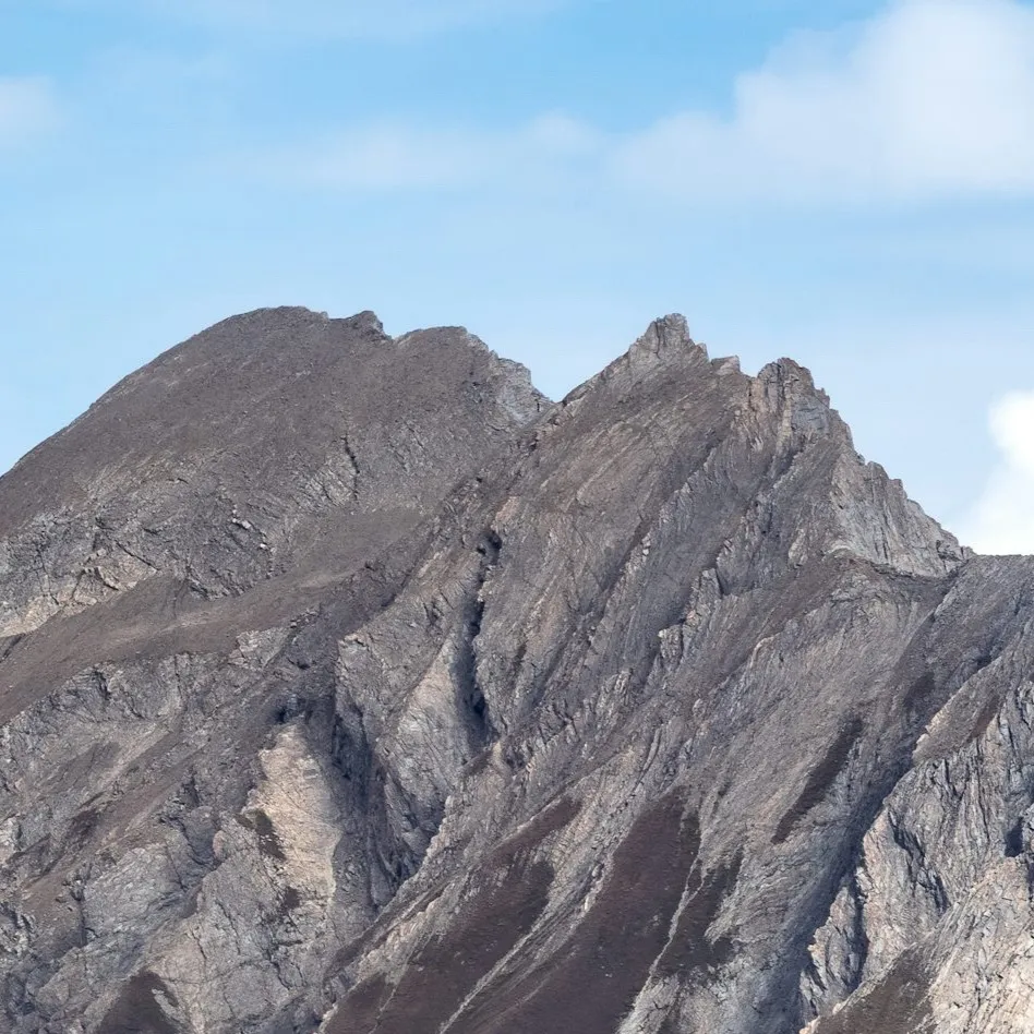 chat with ai character: ???