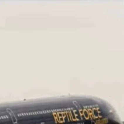 chat with ai character: REPTILE FORSE AIRL