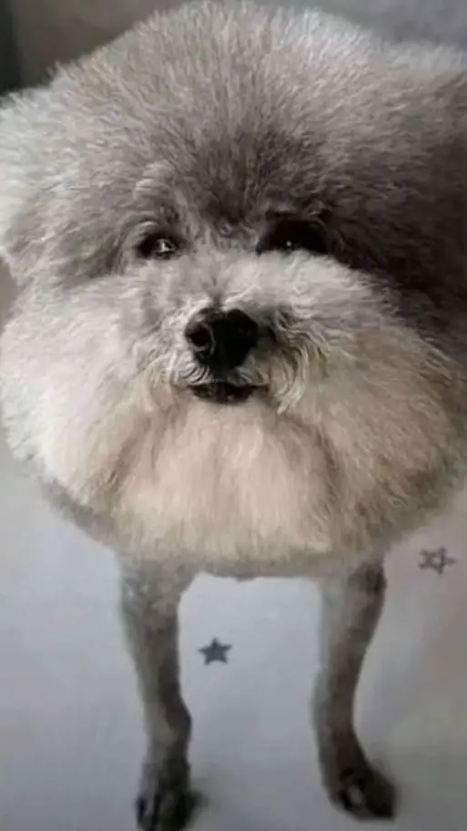 ai character: ass statement background