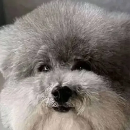 chat with ai character: ass statement