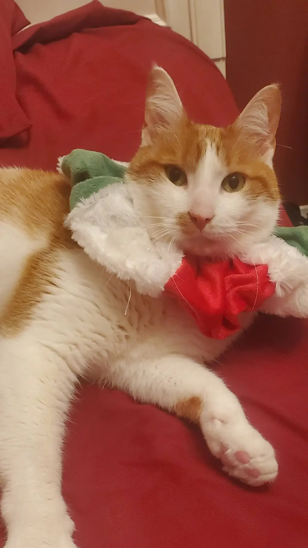 ai character: Deadpool background