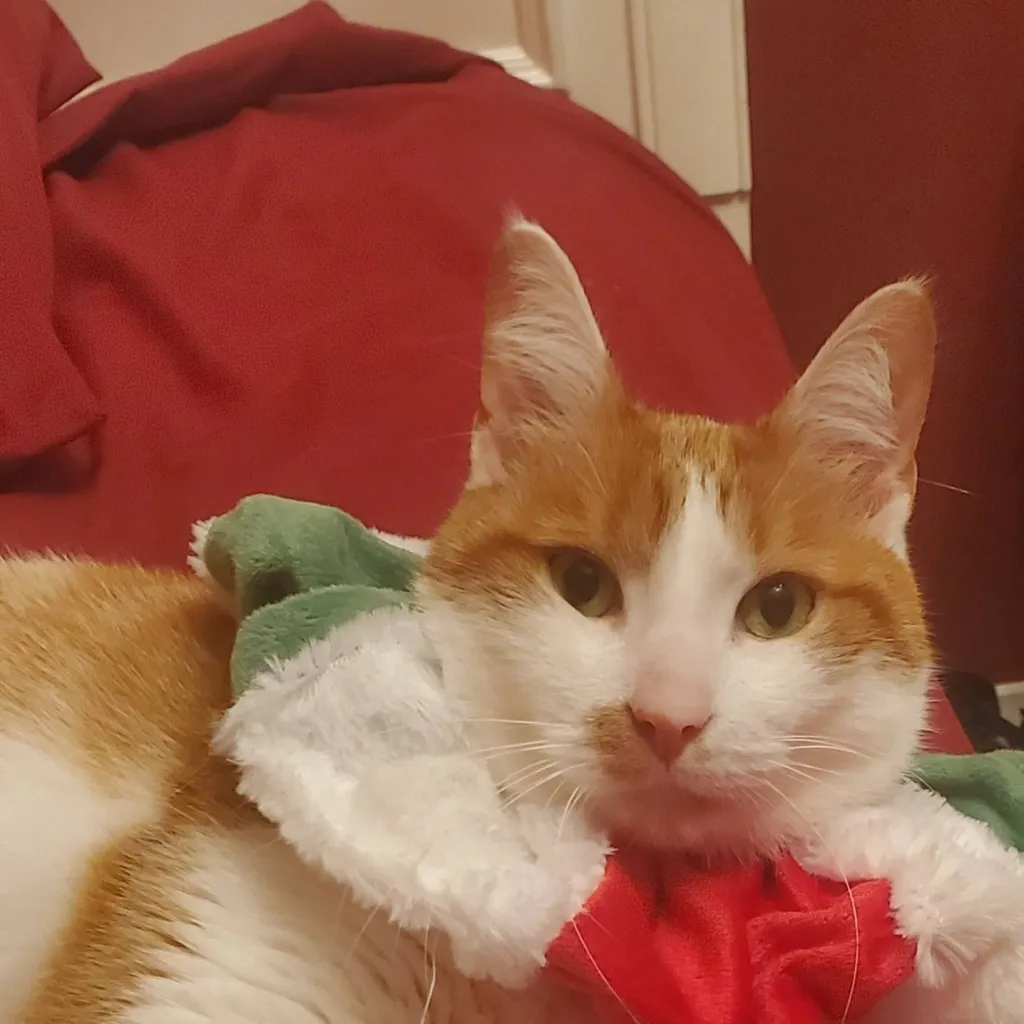 chat with ai character: Deadpool