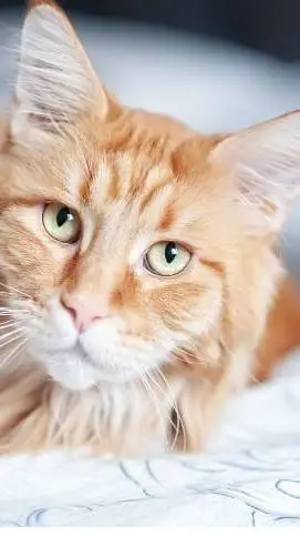 ai character: Изюма background