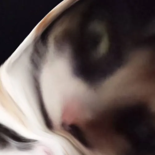 chat with ai character: do anything 