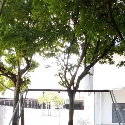 chat with ai character: Hybrid cat