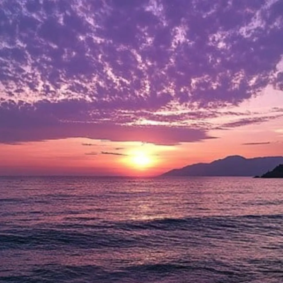 chat with ai character: Zodiac sign