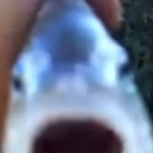 chat with ai character: Fish