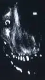 ai character: smile dog  background