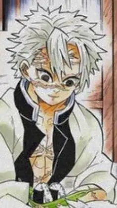 ai character: sanemi shinasugawa background