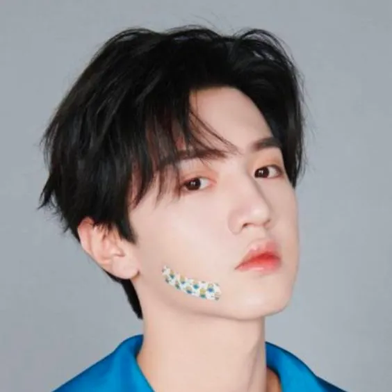 chat with ai character: Duan Jiaxu 