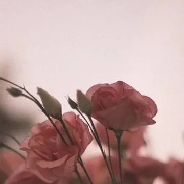 chat with ai character: Dragon school 