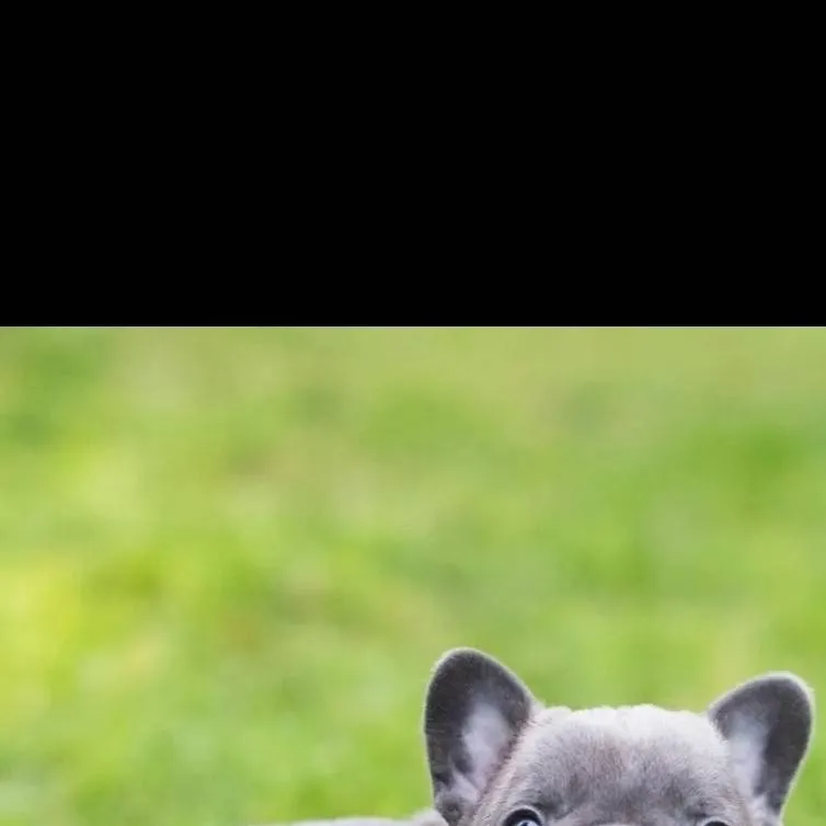 chat with ai character: Dw irl (HORROR FR)