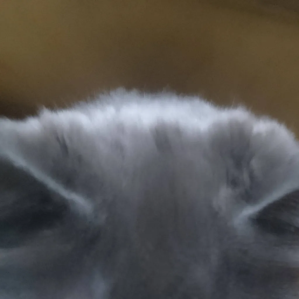 chat with ai character: mi gato mewumi