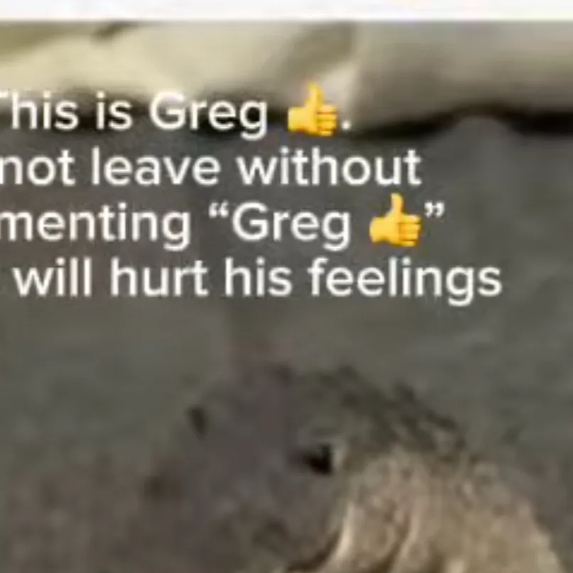 chat with ai character: Greg