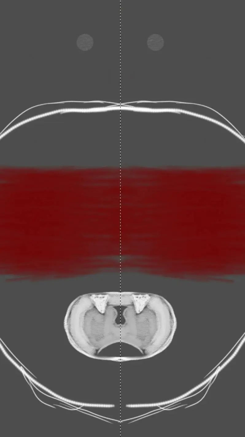 ai character: ppt x mha background