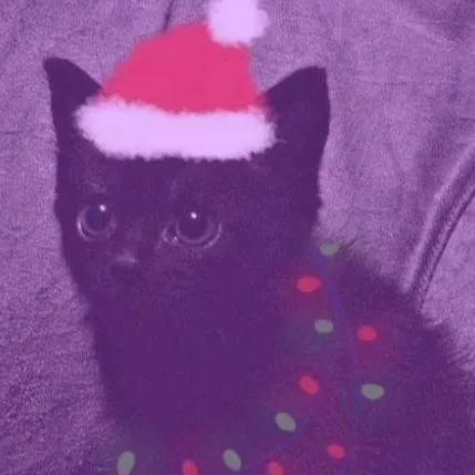 chat with ai character: ★vc e o torajo★