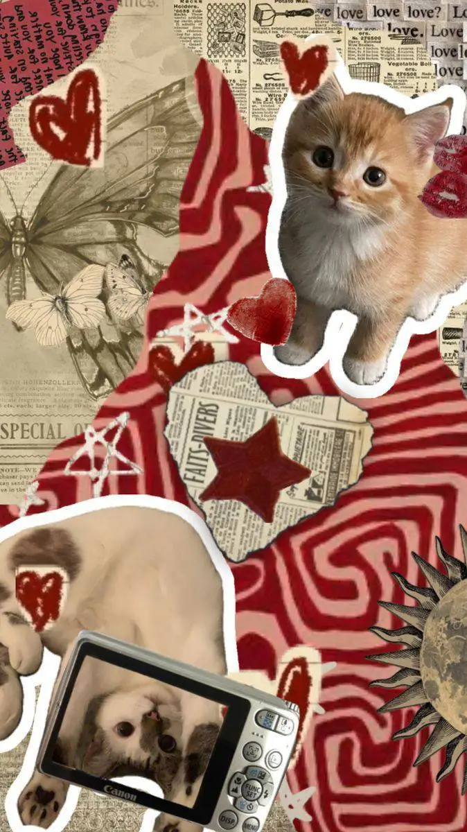 ai character: ★vc e zulmi ★ background