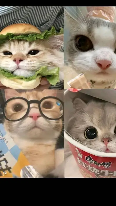 ai character: ★vc e zulmi★ background