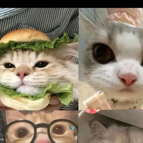 chat with ai character: ★vc e zulmi★