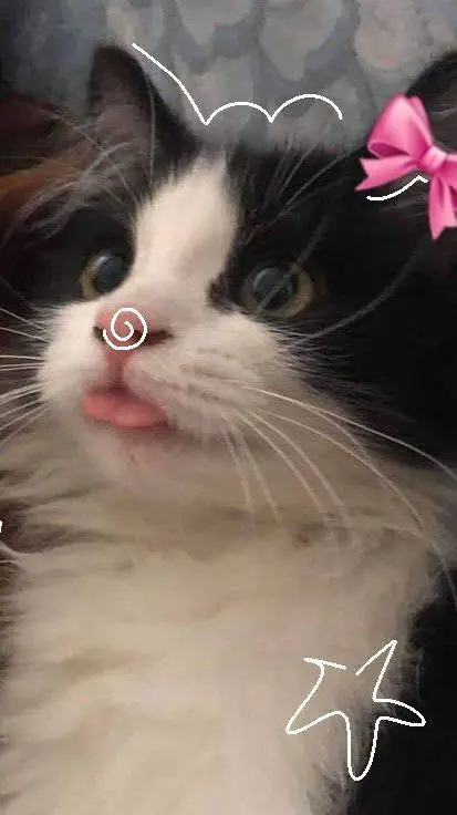 ai character: ★vc e zulmi★ background