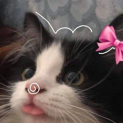 chat with ai character: ★vc e zulmi★