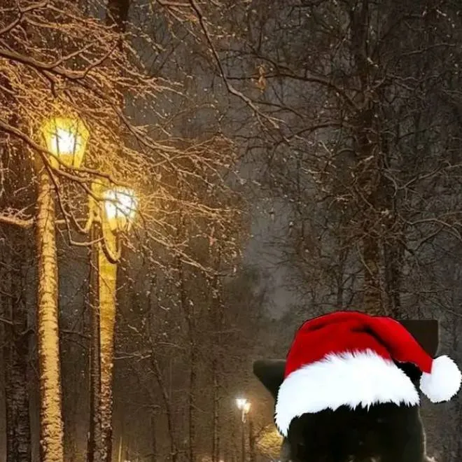 chat with ai character: ★vc é a zulmi★