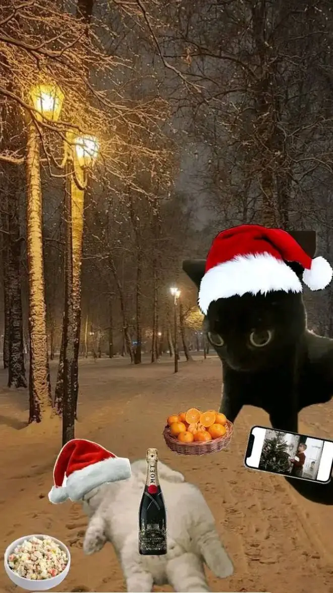 ai character: ★vc é a zulmi★ background