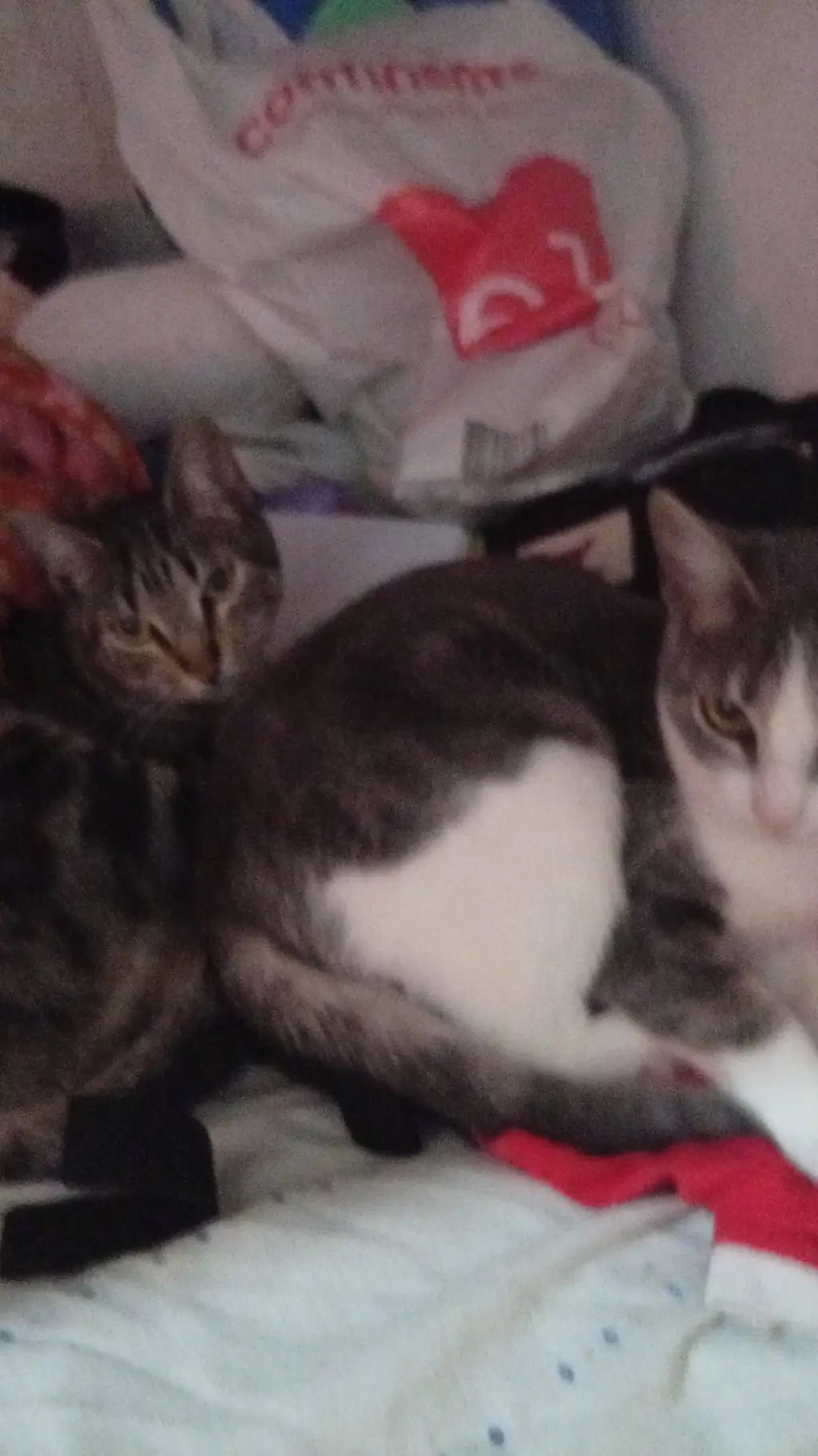 ai character: ★vc e a pessy★ background