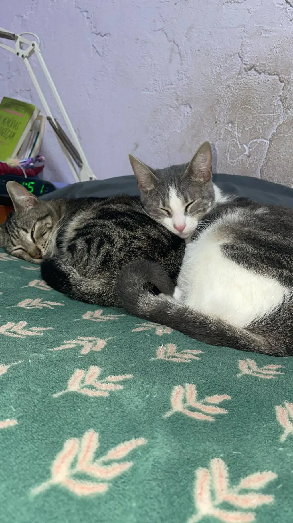 ai character: lili background