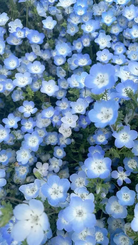 ai character: Gnaw background