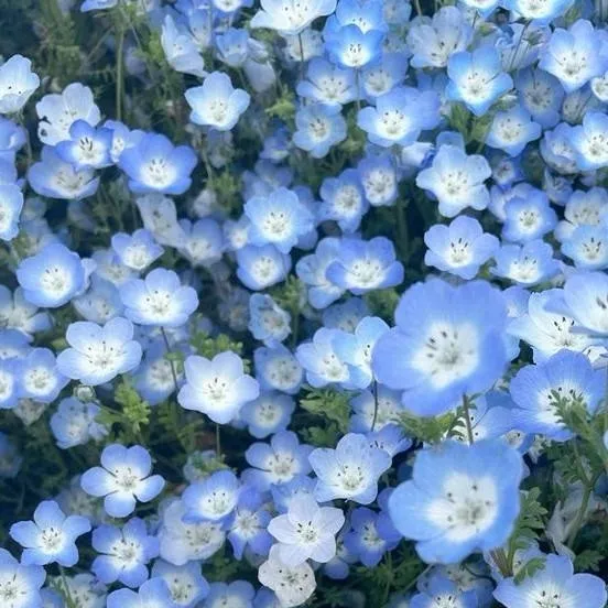 chat with ai character: Gnaw