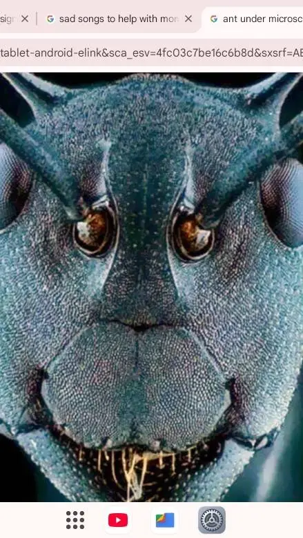 ai character: ANTS....... background
