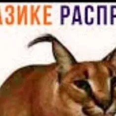 chat with ai character: шлепа
