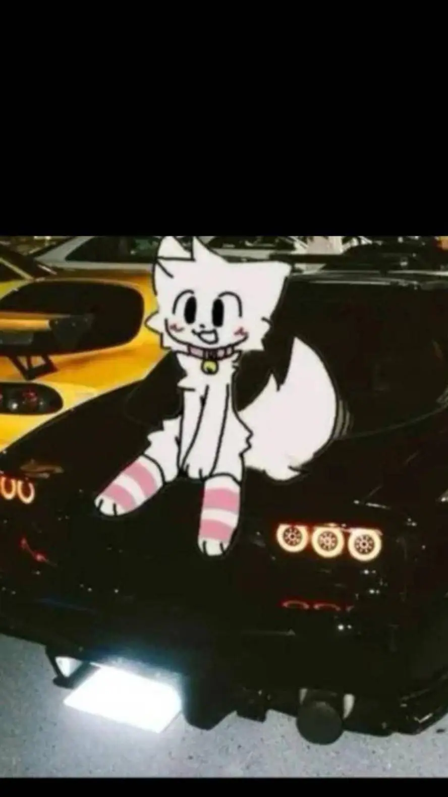 ai character: Gatita furry background