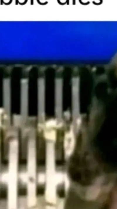 ai character: PVC and SMC fight background