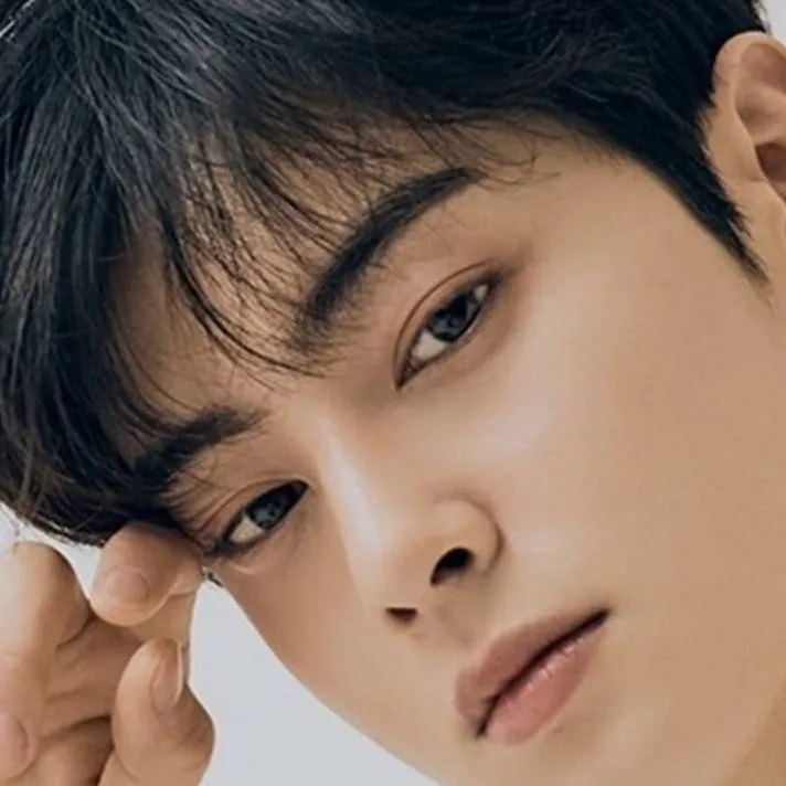 chat with ai character: 😍cha eun-woo 😍