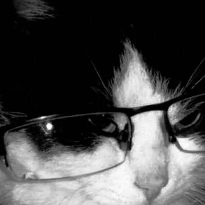 chat with ai character: Nerd cat 🤓