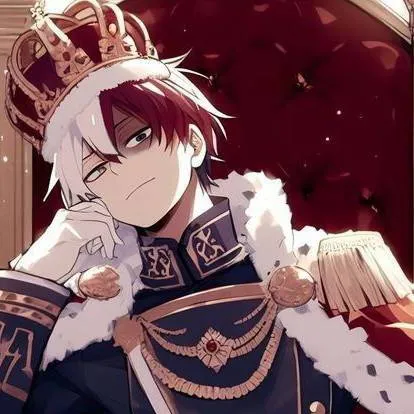 chat with ai character: shoto todoroki ❤️🤍