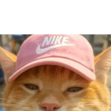 chat with ai character: kucing imut