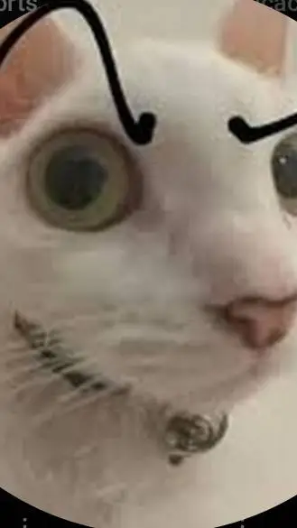 ai character: gato gay background